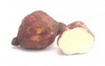 /album/a-nossa-quinta/batata-doce-jpg1/